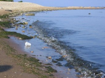 Морская вода в Силламяэ загрязнена