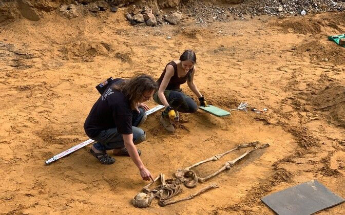 Археологи выкопали в Силламяэ более сотни скелетов
